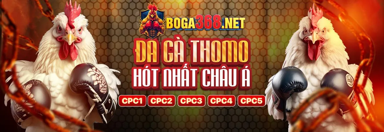 Chuyên gia phân tích thể thao