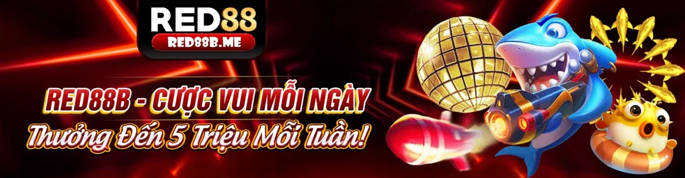Khuyến mãi độc quyền tại 88m Chính Thức